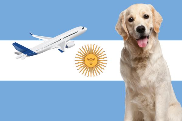 sabes como viajar con mascotas en aerolineas argentinas
