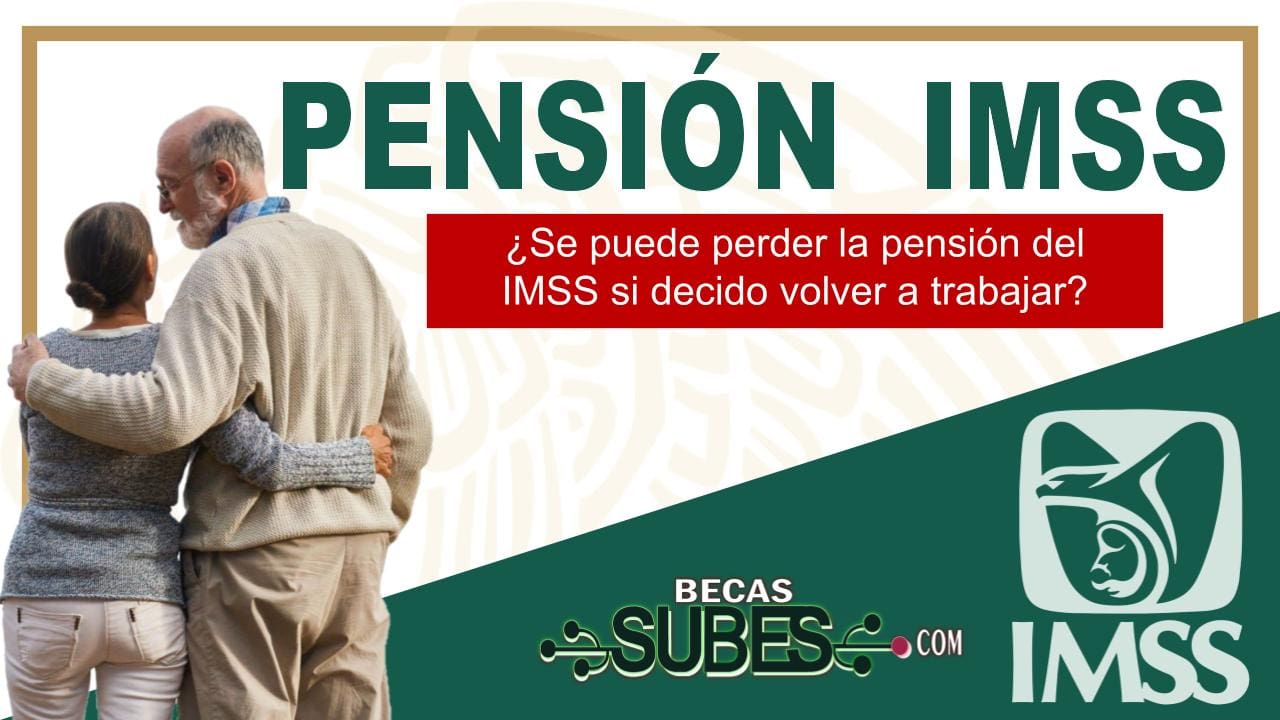 se puede perder la pension del imss