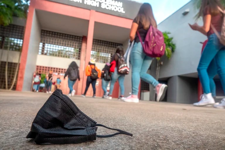secundaria tecnica 47 educacion de calidad en