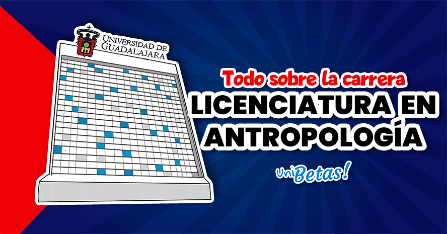 Te gustaría estudiar Antropología en 2026 Aquí hay una guía 2 te gustaria estudiar antropologia en 2024 aqui hay una guia