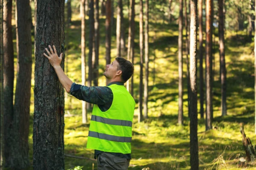 te interesa la licenciatura en ingenieria agroforestal buap