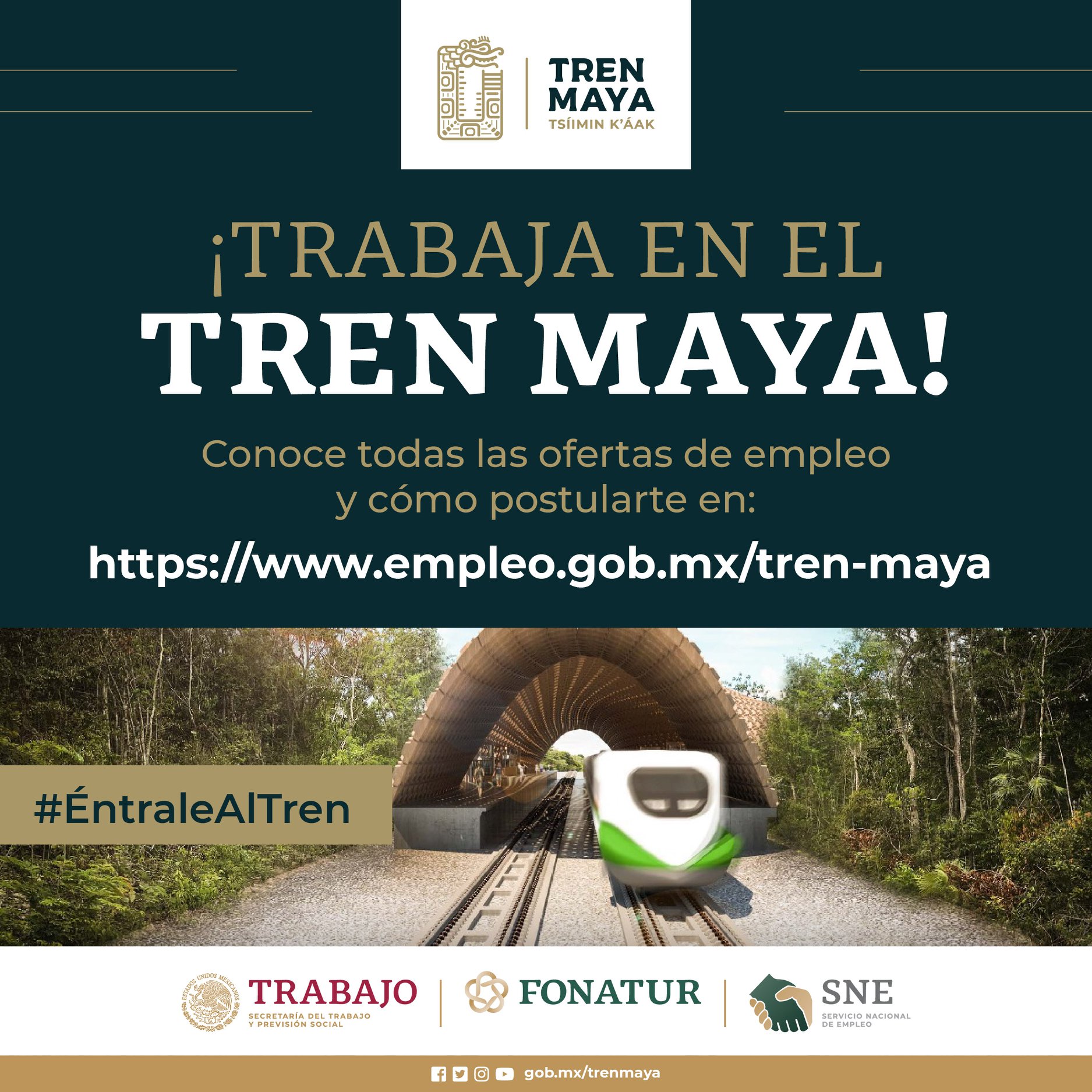 te interesa trabajar en el tren maya con salario de 12800