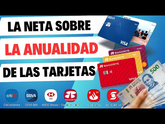 todo sobre tarjetas departamentales e29c94efb88f 2024
