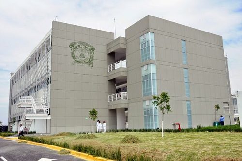 uaem chimalhuacan descubre las mejores carreras 2024