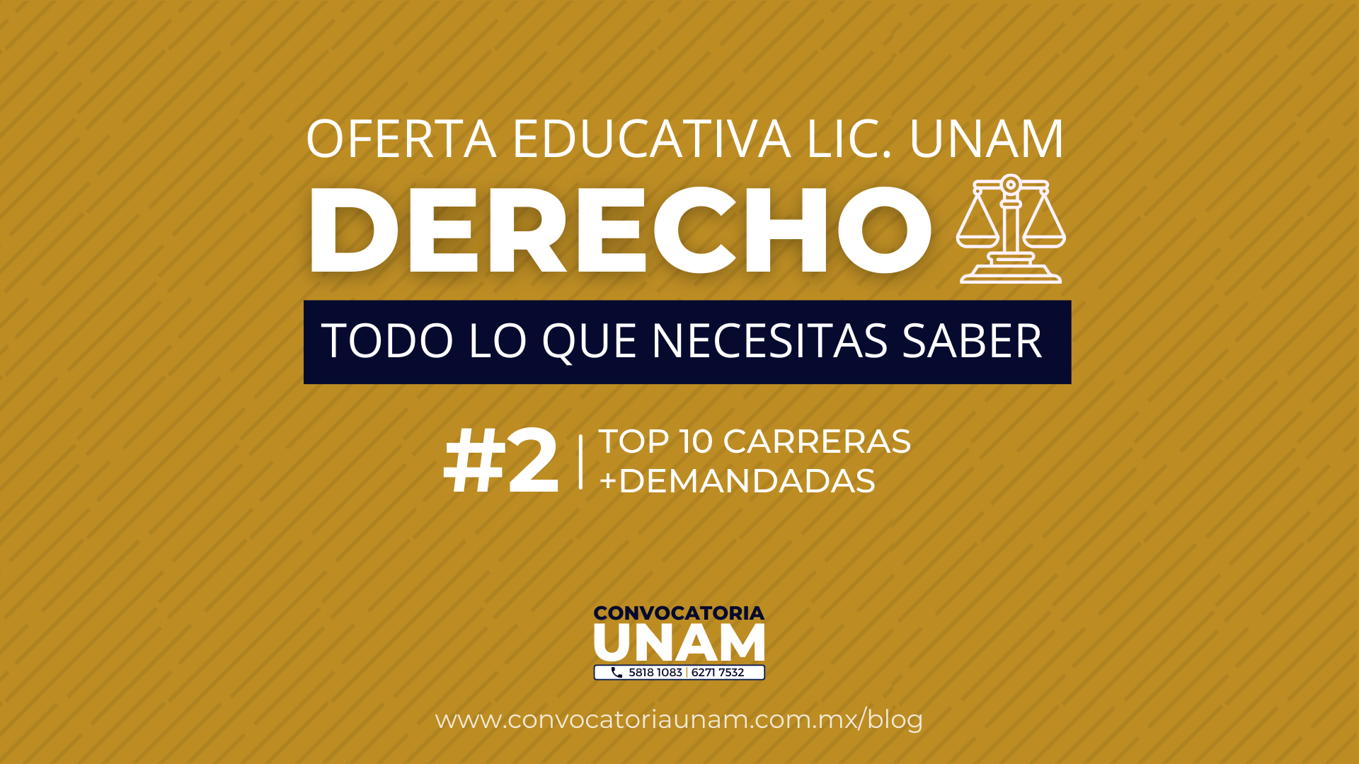 unam doctorado en derecho duracion y oportunidades