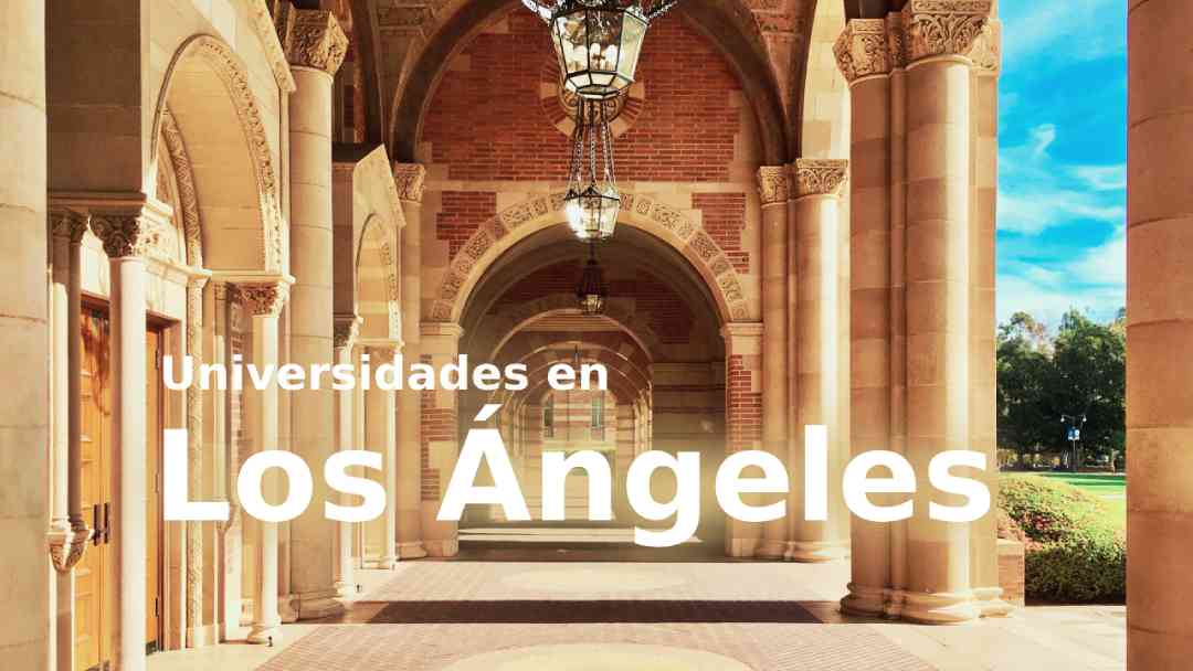 unes descubre las carreras y requisitos para 2024