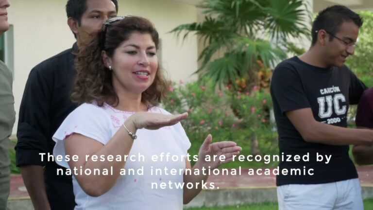 universidad del sur cancun carreras y oportunidades