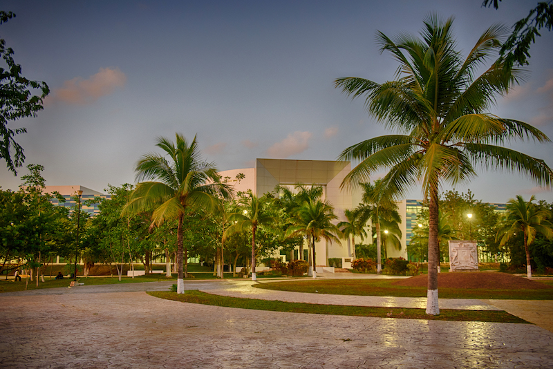 universidad del sur playa del carmen educacion de calidad