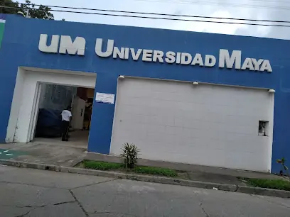 universidad maya descubre y sus oportunidades