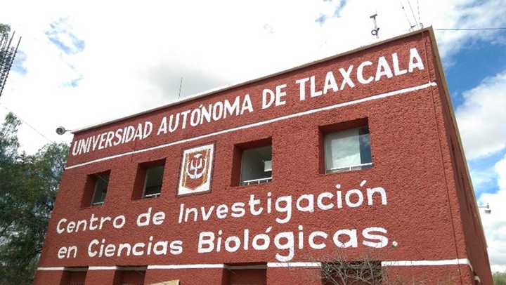 universidades en tlaxcala y sus carreras