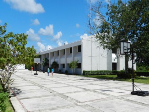 Universidades públicas en Playa del Carmen: la clave para tu futuro académico 2 universidades publicas en playa del carmen la clave para tu futuro academico